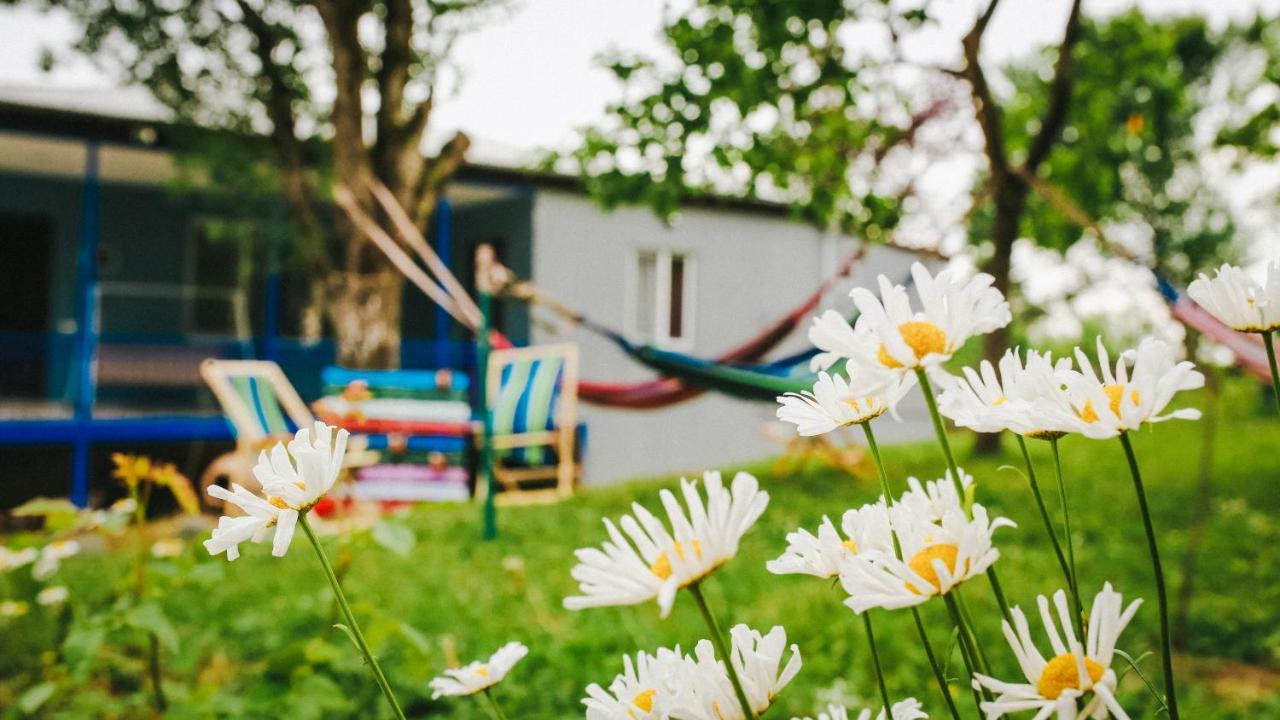 Bebo Babu Guest House Koetaisi Buitenkant foto